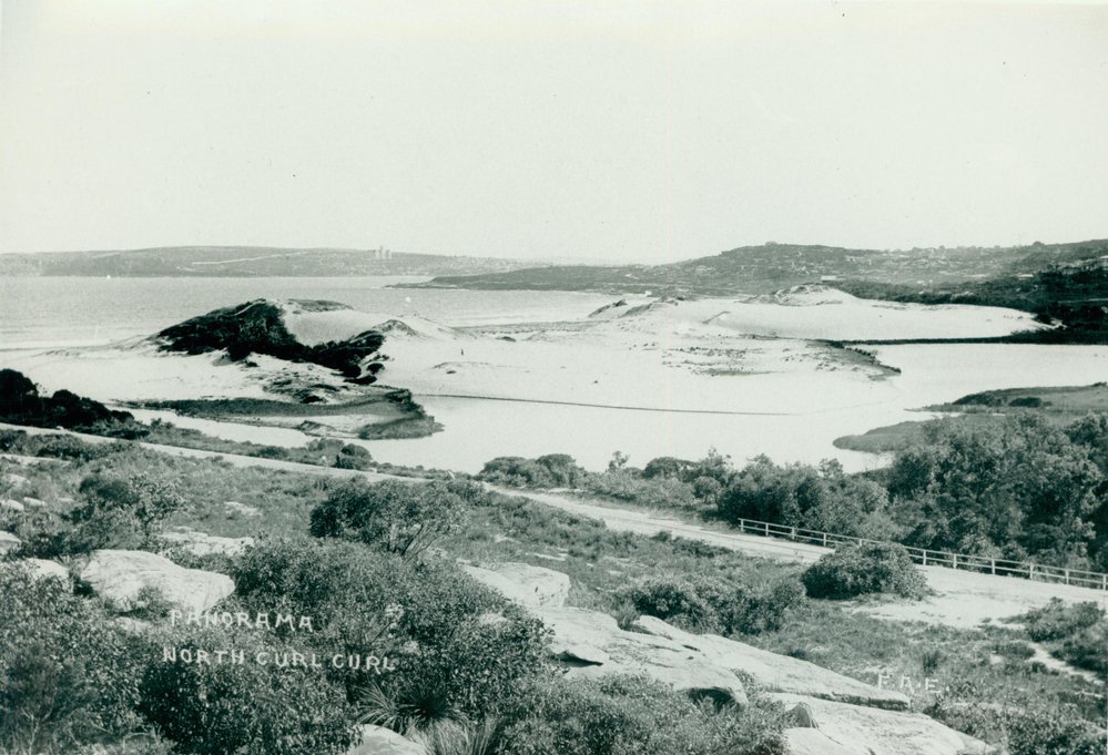 View over North Curl Curl Beach
