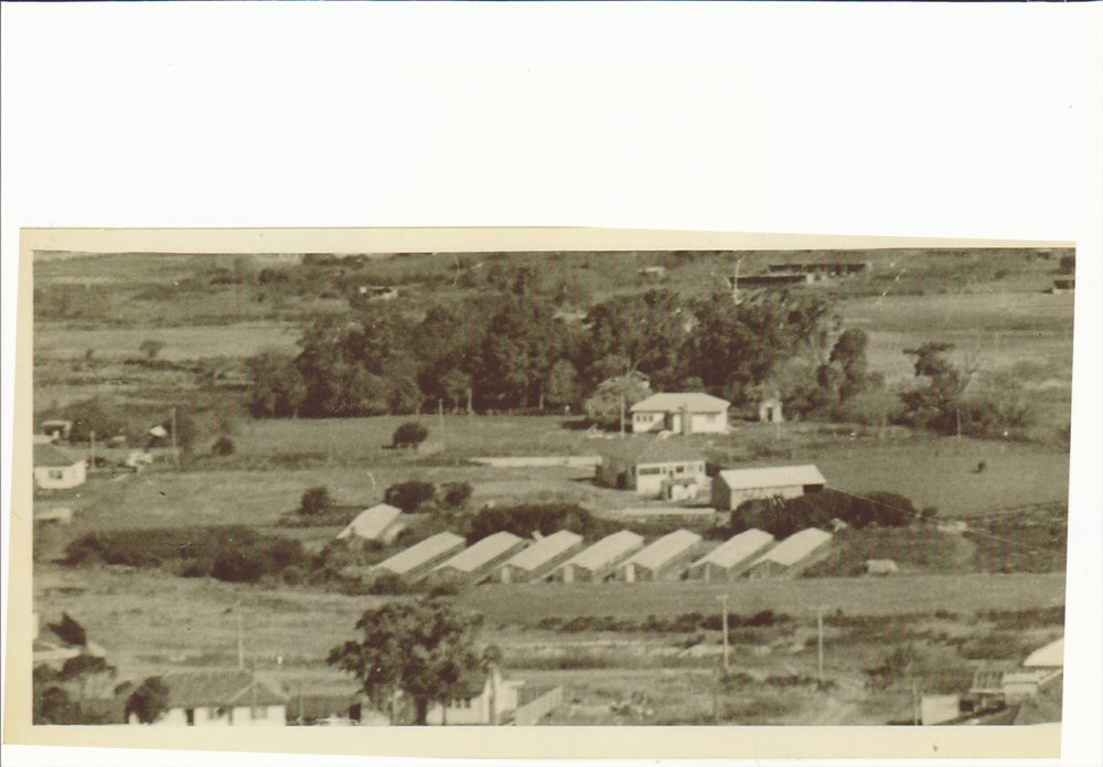 Raicevich Farm Cross Street, Brookvale