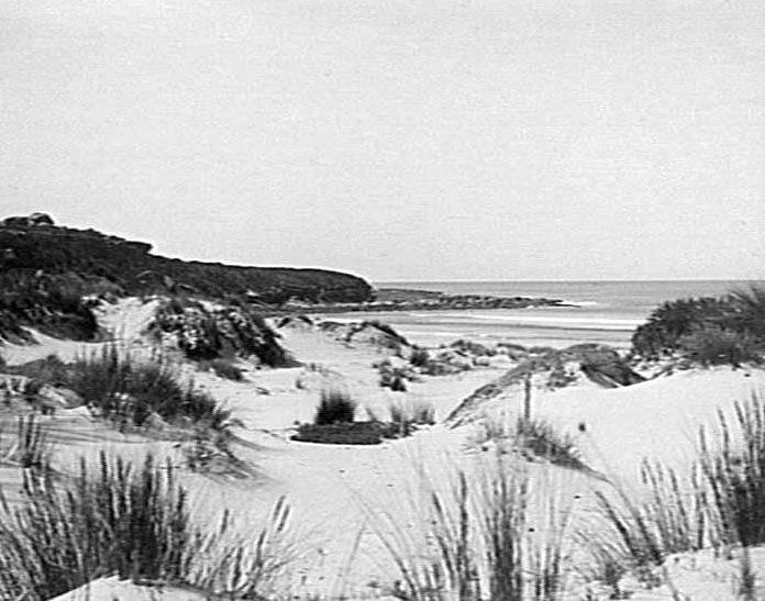 North Curl Curl Beach and sand dunes