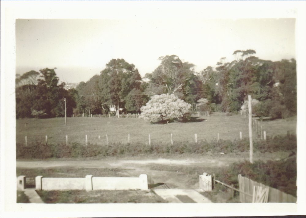 The Raicevich Farm Cross Street, Brookvale