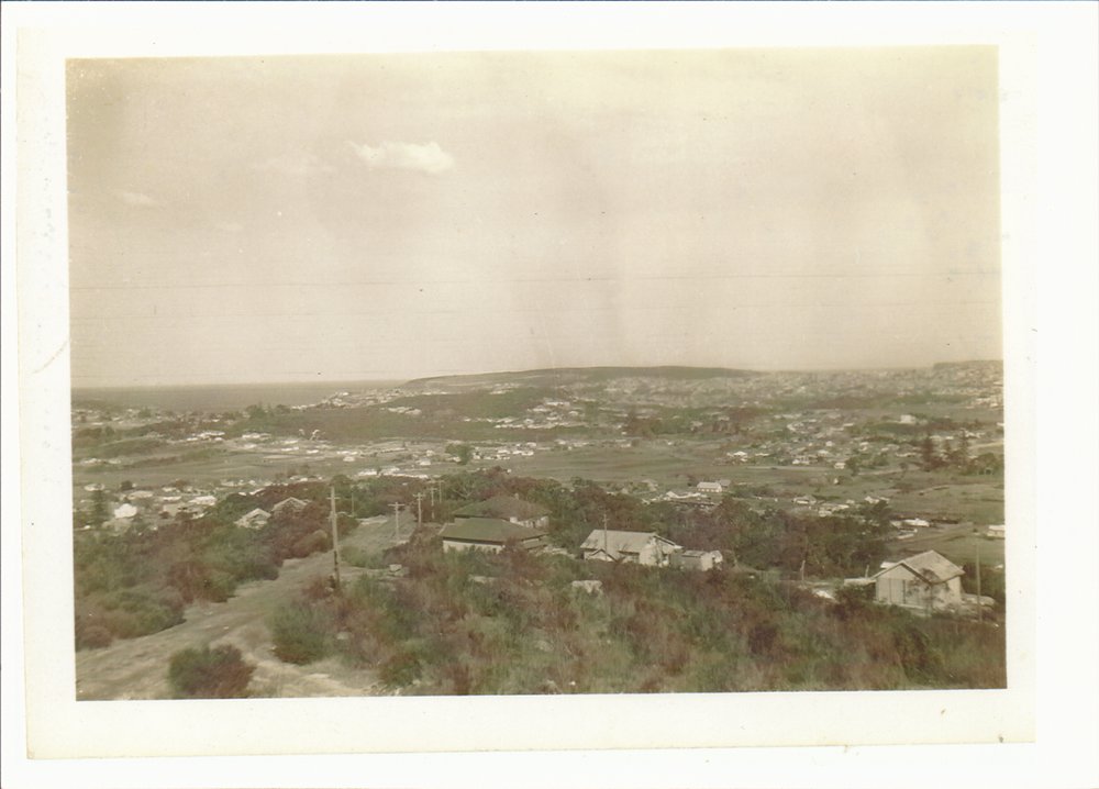 View from Beacon Hill looking down Beacon Hill Road towards Brookvale