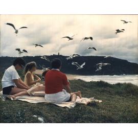 Picnic at North Palm Beach