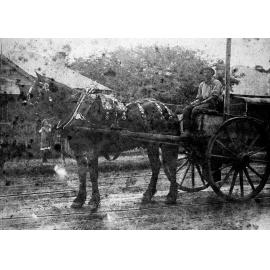 Len Riddle on Thew's horse and dray in Brookvale