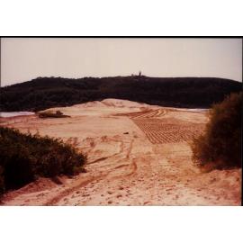 Palm Beach sand dunes, coastal management