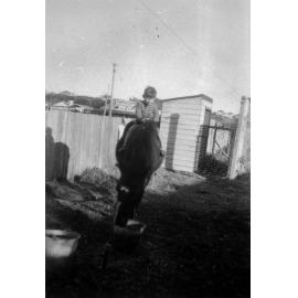 John Holburn on Bonny at 16 Boronia Street, Dee Why