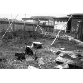 Holburn family home, 16 Boronia Street, Dee Why