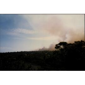 Bushfires at Killarney Heights