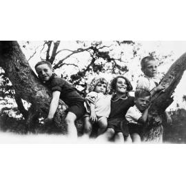 Hayman children climbing tree, Paradise Beach, Avalon