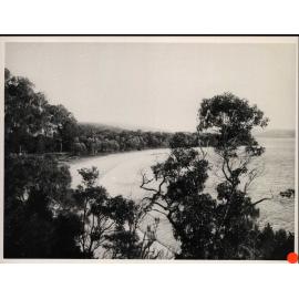 Snapperman's Beach, Palm Beach c1909