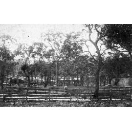 Hews brickworks, Frenchs Forest