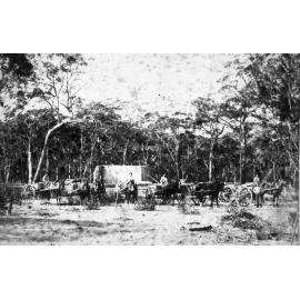 Hews brickworks, Frenchs Forest