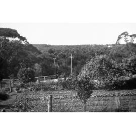 View from Turvey family property, towards Pringle Avenue Belrose