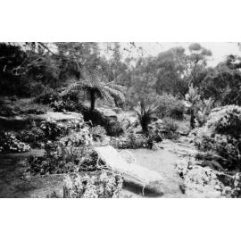 Garden of Turvey family home, Pringle Ave, Belrose