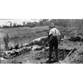 Turvey property, Belrose