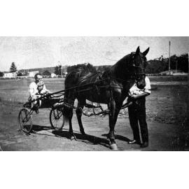 Trotting at Brookvale Oval