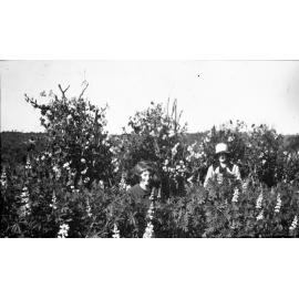 Betty and Bonnie Turvey, Belrose