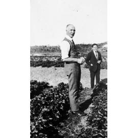 Bertram Penze at strawberry farm, Belrose