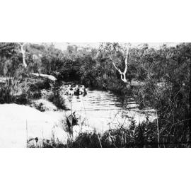 Waterhole below Elm Ave, Belrose