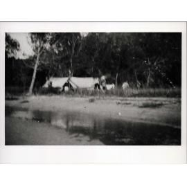 1st Gordon Boy Scouts camping at Mackeral Beach 