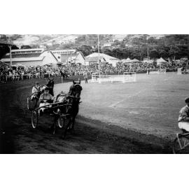 Trotting at the Brookvale Show