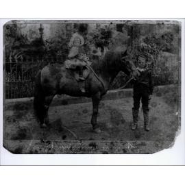 Oswell Brock holding the reins of a pony, Mona Vale