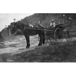 Elsie Pollock with horse and carriage, Newport