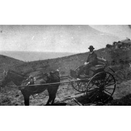 Horse drawn vehicle, Newport