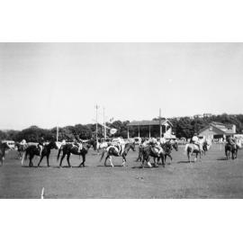 Horse riding at Brookvale Show