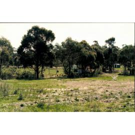 Forest Hills Pony Club, Booralie Road, Duffys Forest