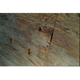 Skateboard ramp, Kitchener Park, Mona Vale