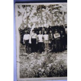 Employees of Machon's Saw Mill Collecting fire wood, North Narrabeen c1930