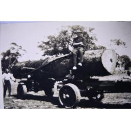 Collecting timber for Machon's saw mill at North Narrabeen