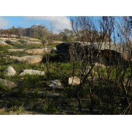Bangalley Head, WWII site, Avalon