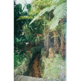 Klerks nursery, Upper Cicada Glen Creek, Chiltern Road, Ingleside