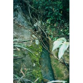 Cicada Glen Creek channel at Klerks Nursery, Ingleside, 1998