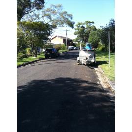 Wyanga Road, Elanora Heights