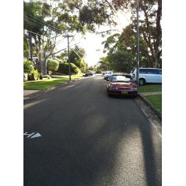 Cars parked in a street in Elanora Heights. 