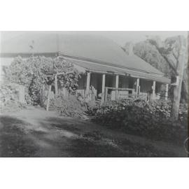 Back of the Larkin Family home, The Pines at the corner of Mona Vale Road and Powderworks Road, Ingleside