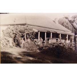 Back of the Larkin Family home, The Pines at the corner of Mona Vale Road and Powderworks Road, Ingleside, 1916