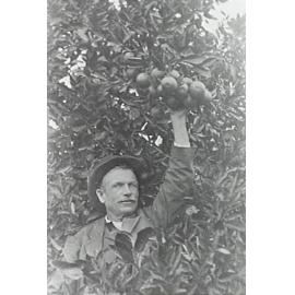 James Ware in his orchard in Thornleigh 1915