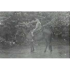 Girl on horse in the Ware Family orchard in Thornleigh