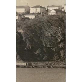 Mona Vale Headland