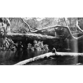 Irrawong Falls, North Narrabeen, 1928