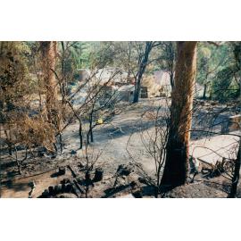 Burnt Backyard at Kuttabul Place, Elanora Heights, 1994