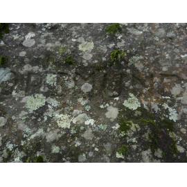 German engravings at Deep Creek prior to World war II