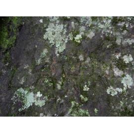 German engravings at Deep Creek prior to WWII