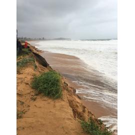 Mactier Street, Narrabeen, beachfront erosion, 2016
