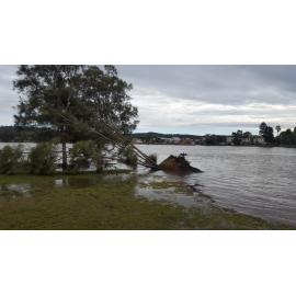 Malcolm Street, Narrabeen, 9am on 5th June 2016