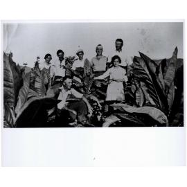 Cunico family farming, Dee Why