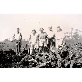 Cunico family farming, Dee Why